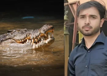 UP crocodile attack Gonda 2026